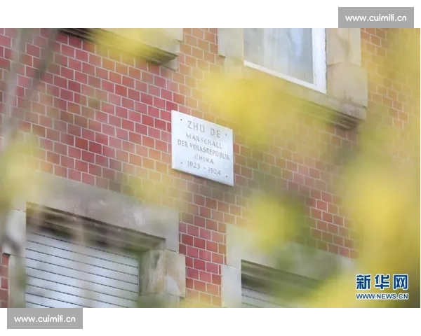 以蛇年为契机探寻中华文化中蛇的象征意义与时代精神传承